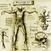 Planche anatomique représentant un Nephilim