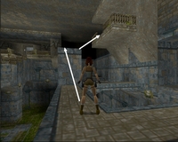 Tomb Raider 1 : Citerne
