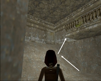Tomb Raider 1 : Citerne